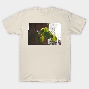 Plant Lover Pilea Plant T-Shirt